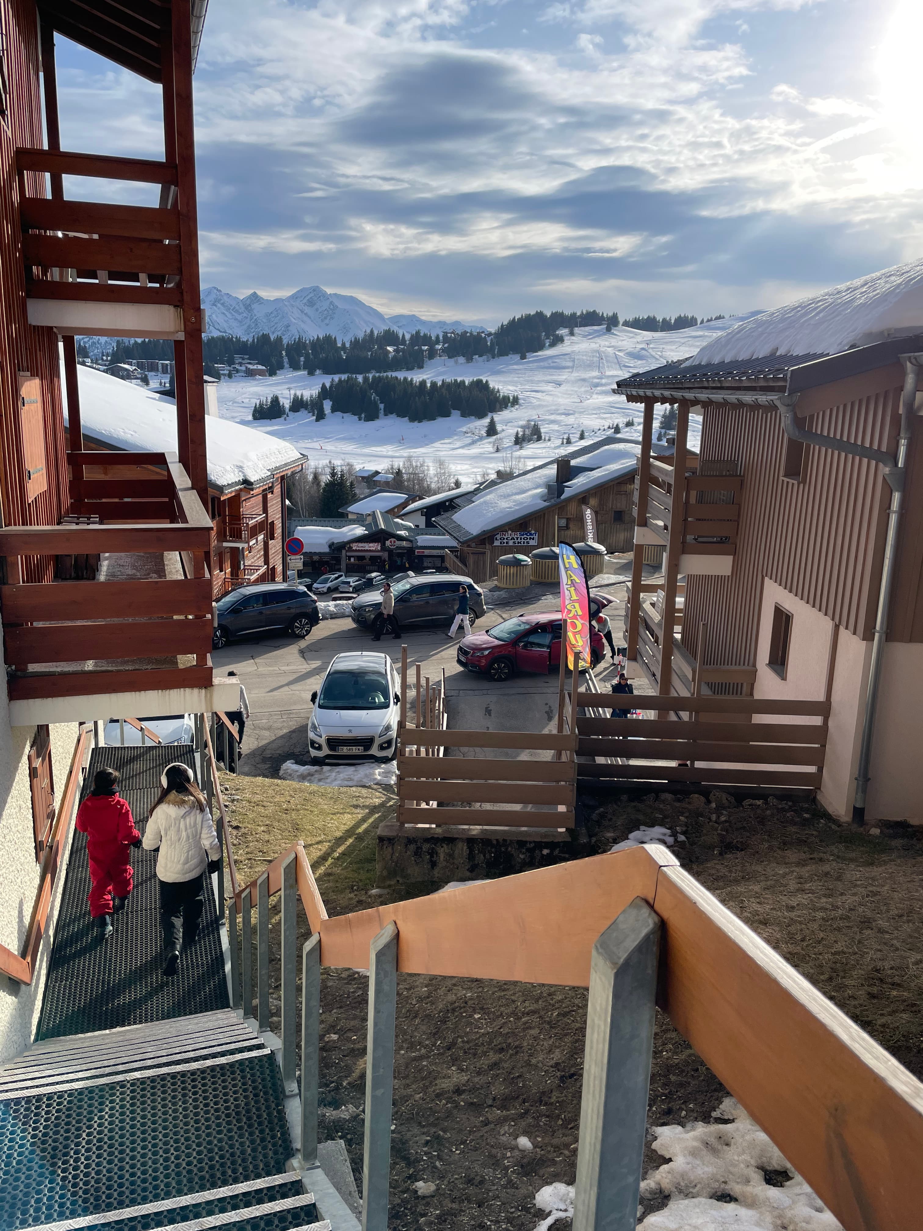 les_saisies